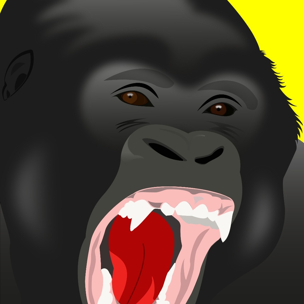 Gorilla